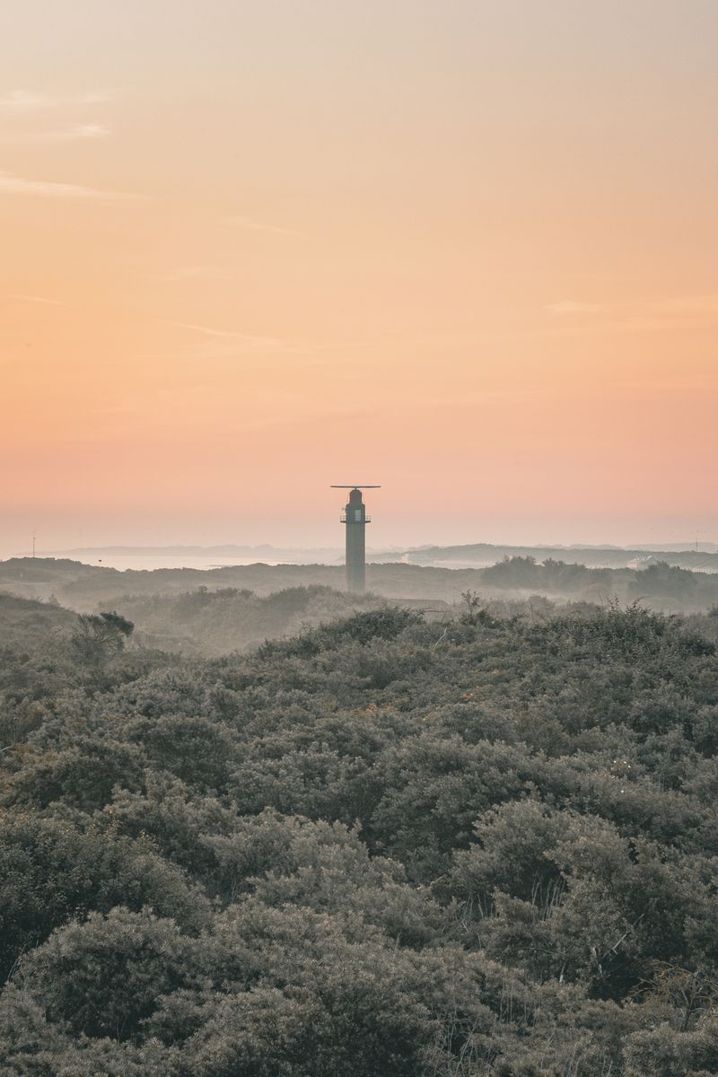 Peaceful Cadzand