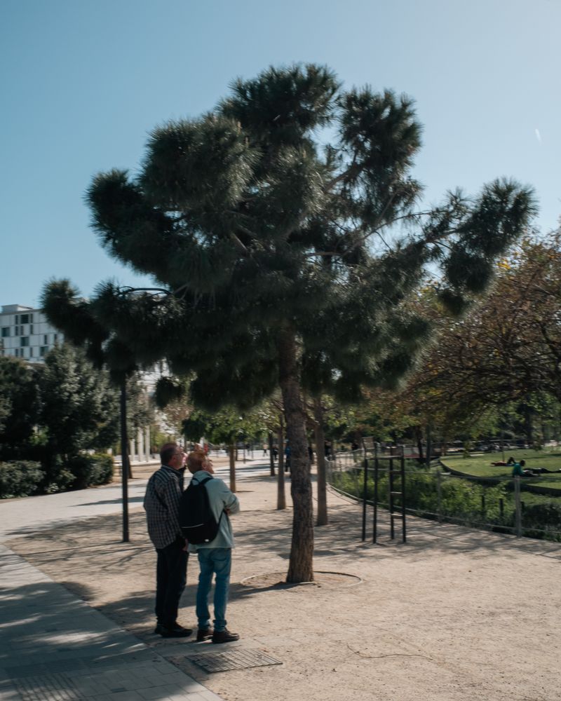 Bruce in Barcelona