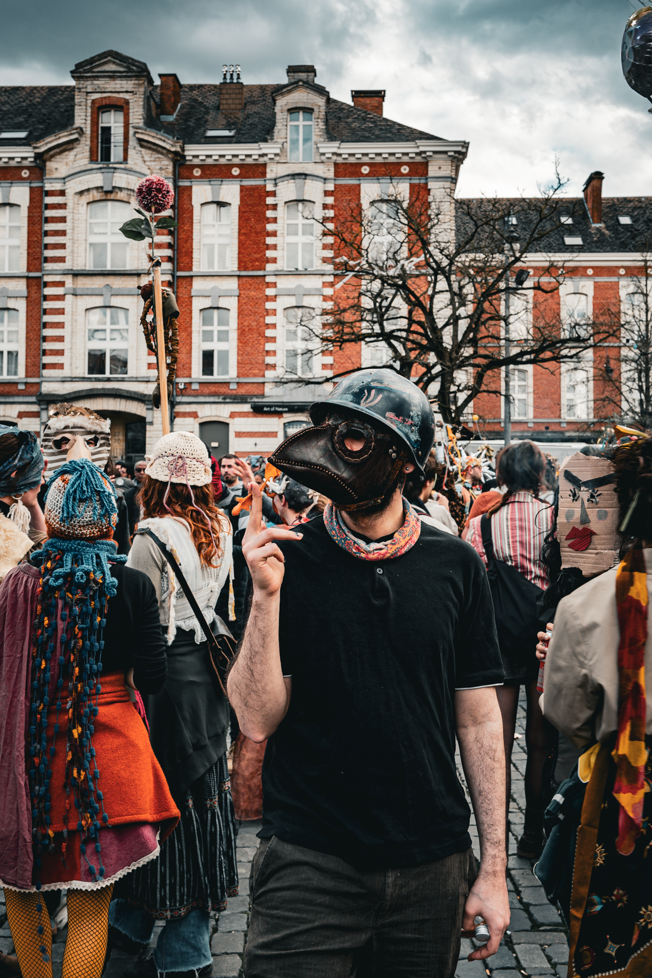Carnaval sauvage